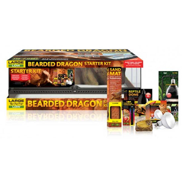 Exo Terra Bearded Dragon Starter Kit