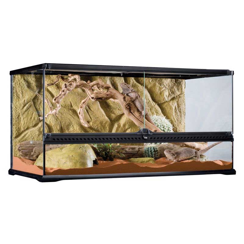 Exo terra outlet high glass terrarium