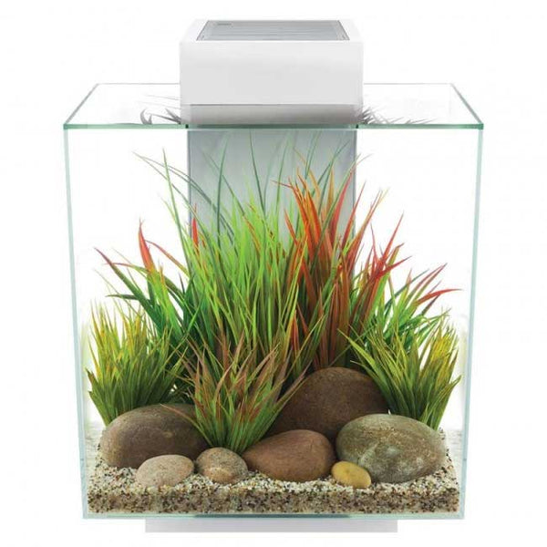 Fluval Edge 2.0 Aquarium 46L White