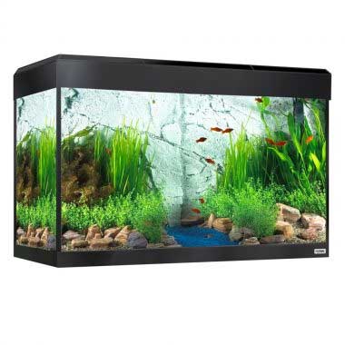 Fluval Roma 125 Aquarium Black
