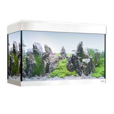 Fluval Roma 125 Aquarium White