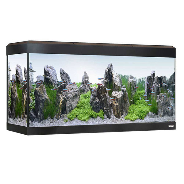 Fluval Roma 200 Aquarium