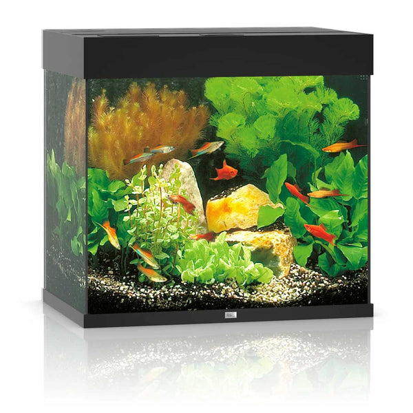 Juwel Lido 120 Aquarium Black