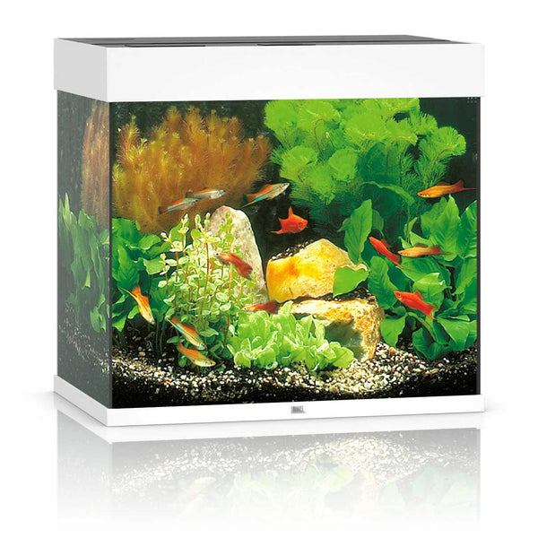 Juwel Lido 120 Aquarium White