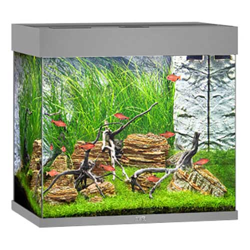 Juwel Lido 200 Aquarium Grey