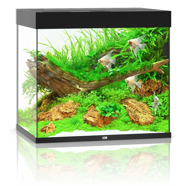 Juwel Lido 200 Aquarium Black