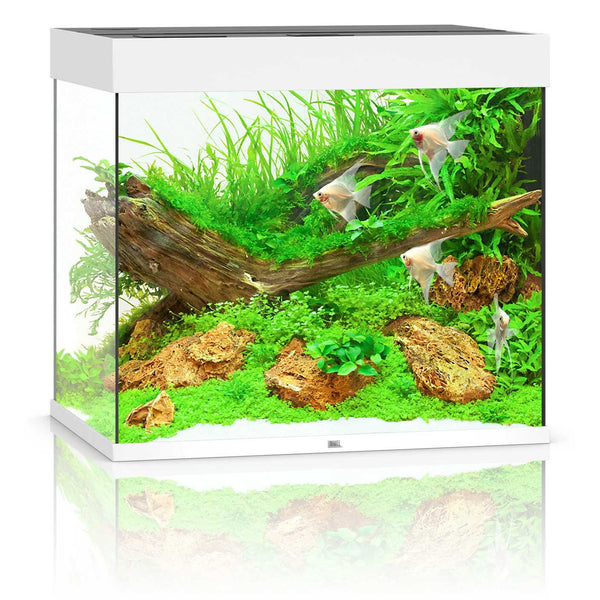 Juwel Lido 200 Aquarium White