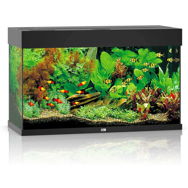 Juwel Rio 125 Aquarium Black