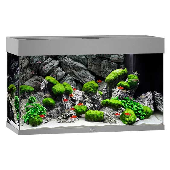 Juwel Rio 125 Aquarium Grey