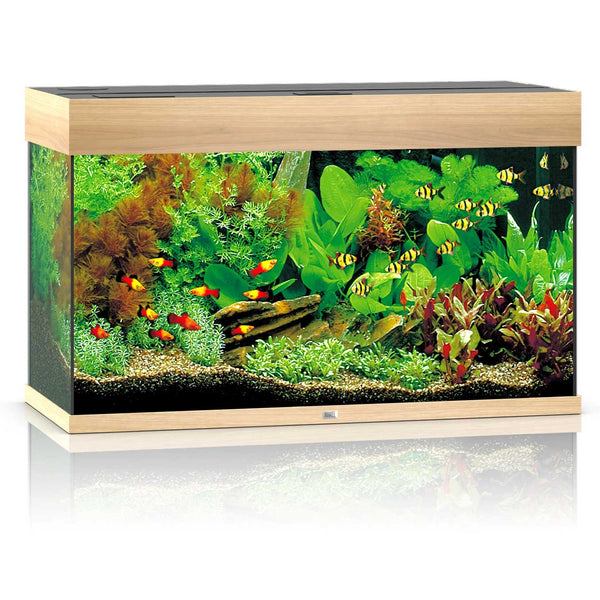 Juwel Rio 125 Aquarium Light Wood
