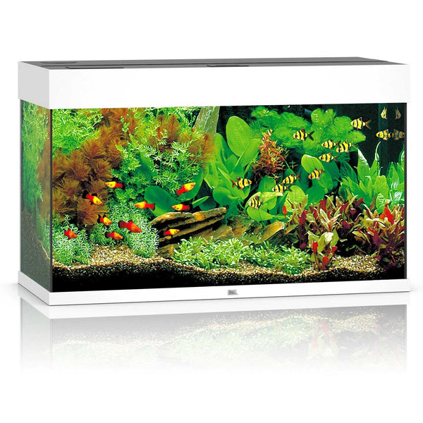Juwel Rio 125 Aquarium White