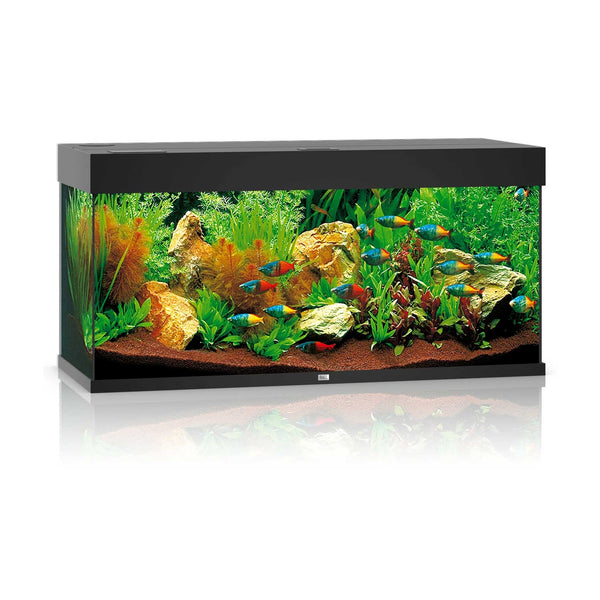 Juwel Rio 180 Aquarium Black