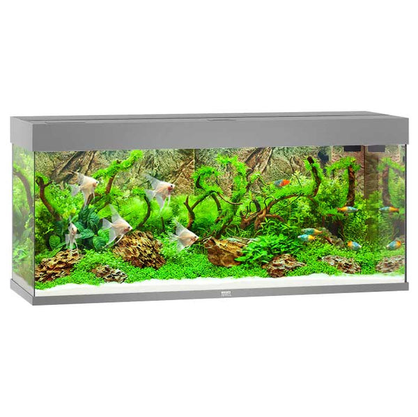 Juwel Rio 240 Aquarium Grey