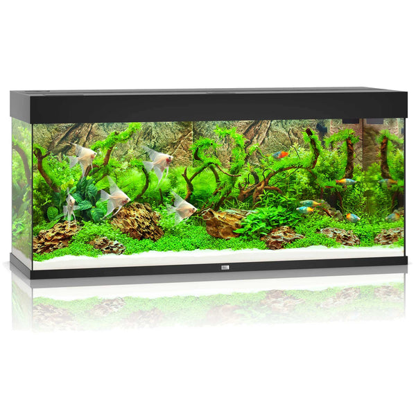 Juwel Rio 240 Aquarium Black