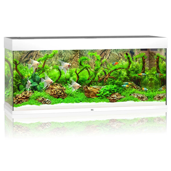 Juwel Rio 240 Aquarium White
