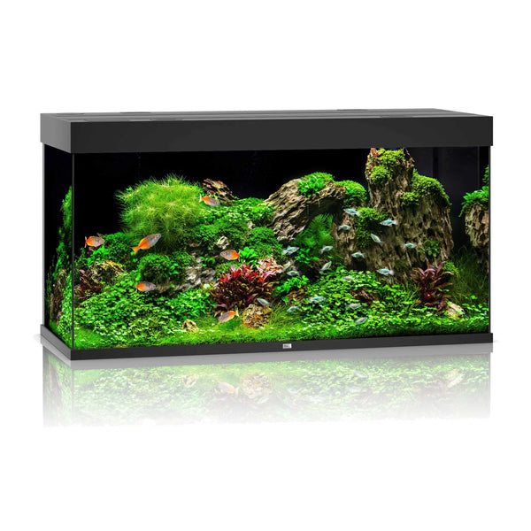 Juwel Rio 350 Aquarium Black