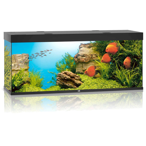 Juwel Rio 450 Aquarium Black