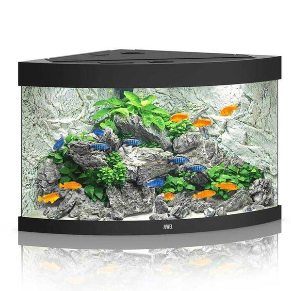 Juwel Trigon 190 Aquarium Black