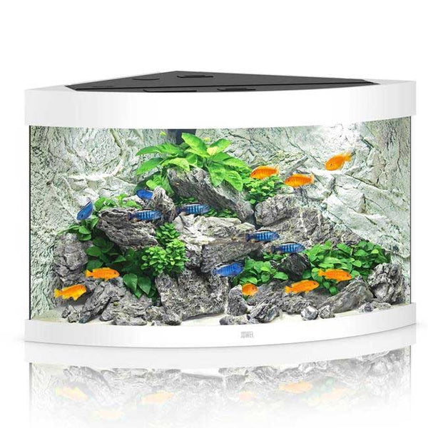 Juwel Trigon 190 Aquarium White