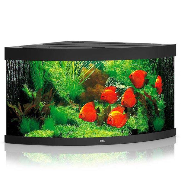 Juwel Trigon 350 Aquarium