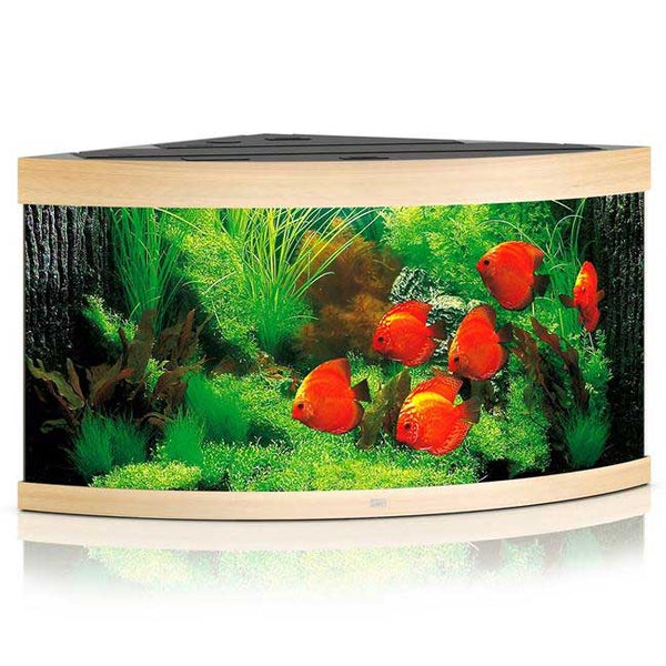 Juwel Trigon 350 Aquarium