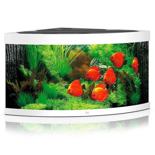 Juwel Trigon 350 Aquarium