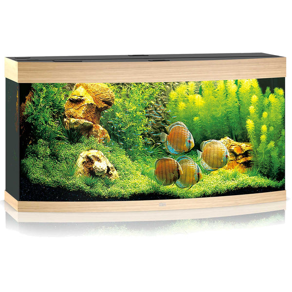 Juwel Vision 260 Aquarium