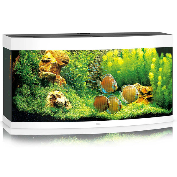 Juwel Vision 260 Aquarium