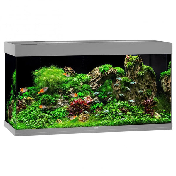 Juwel Rio 350 Aquarium