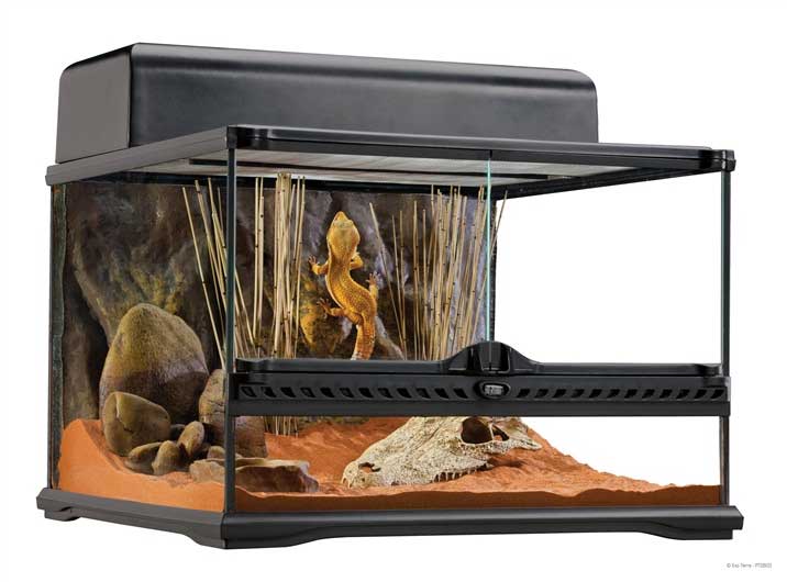 Exo Terra Leopard Gecko Starter Kit Online Aquariums